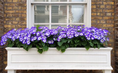 IMG_20210429_160911