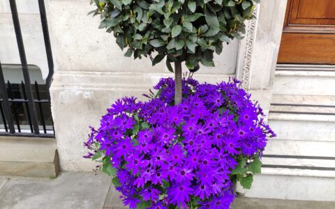 IMG_20210429_161044